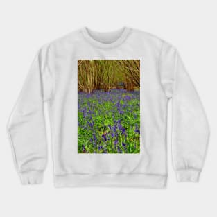 Bluebell Woods Basildon Park Reading UK Crewneck Sweatshirt